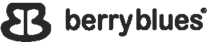 BerryBlues Export (OPC) Private Limited